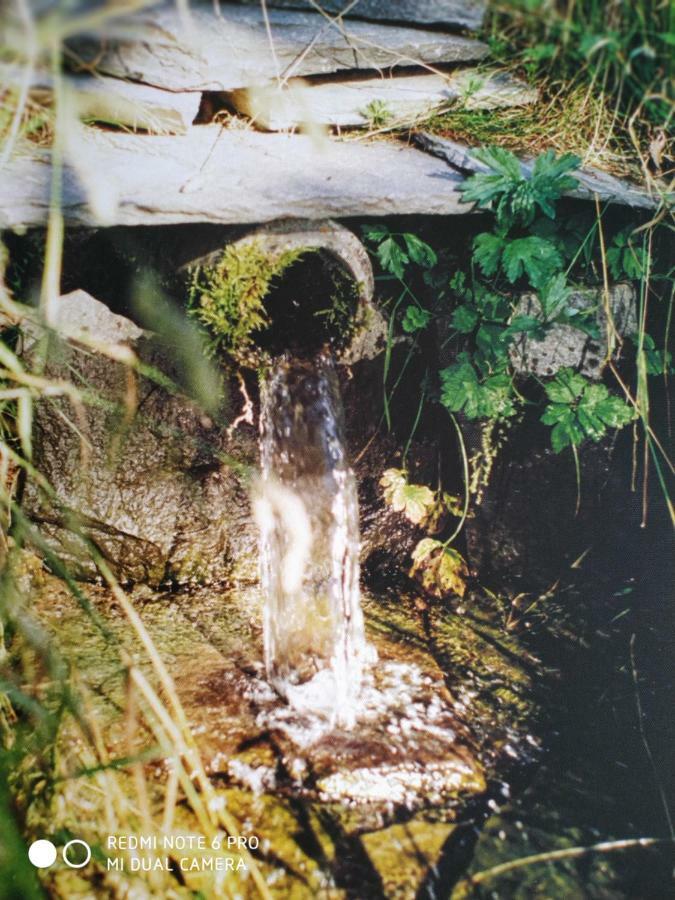ReSource Lägenhet Le Chambon-sur-Lignon Exteriör bild